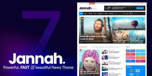 We Will Setup and Customization Jannah - Newspaper Magazine News BuddyPress AMP