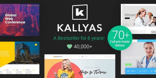 We Will Setup and Customization KALLYAS - Creative eCommerce Multi-Purpose WordPress Theme