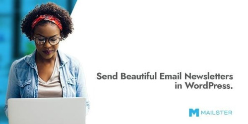 We Will Setup and Customization Mailster - Email Newsletter Plugin for WordPress