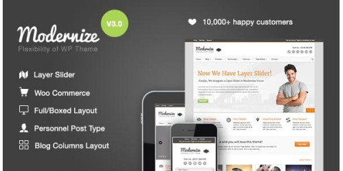 We Will Setup and Customization Modernize - Flexibility of WordPress