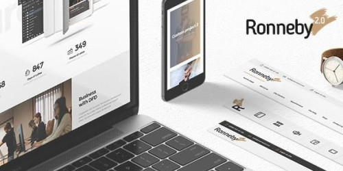 We Will Setup and Customization Ronneby - High-Performance WordPress Theme
