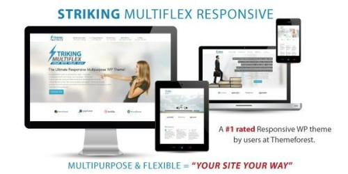 We Will Setup and Customization Striking - MultiFlex & Ecommerce Responsive WP Theme We Will Setup and Customization Striking - MultiFlex & Ecommerce Responsive WP Theme