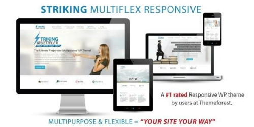 We Will Setup and Customization Striking - MultiFlex & Ecommerce Responsive WP Theme