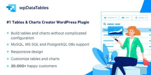 We Will Setup and Customization wpDataTables - Tables and Charts Manager for WordPress