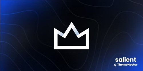 We Will Setup and Customization Salient | Creative Multipurpose & WooCommerce Theme